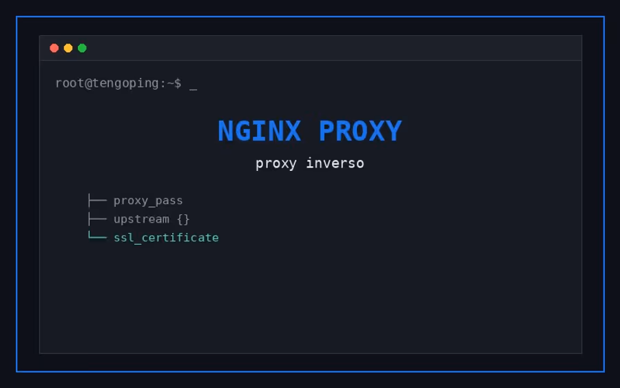 Proxy inverso con Nginx: guía práctica